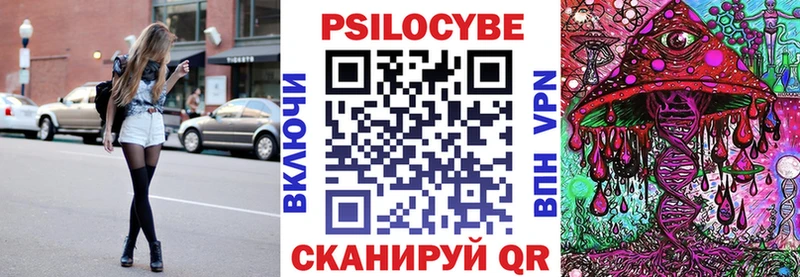 цена   Чехов  Псилоцибиновые грибы мицелий 